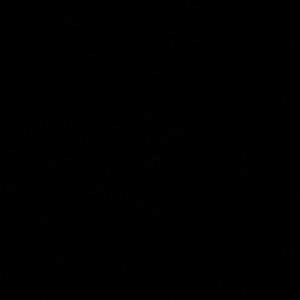 Meet your Posher, Petal